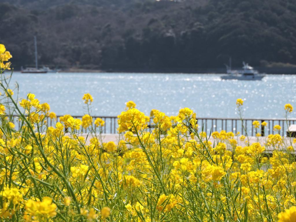 Shimoda Prince Hotel Sizuoka Kültér fotó